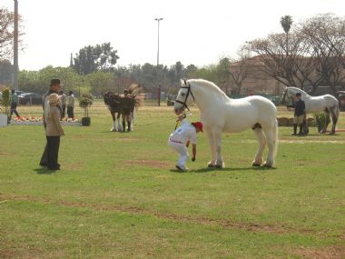 Pta skou 2009 018_1_th1.jpg